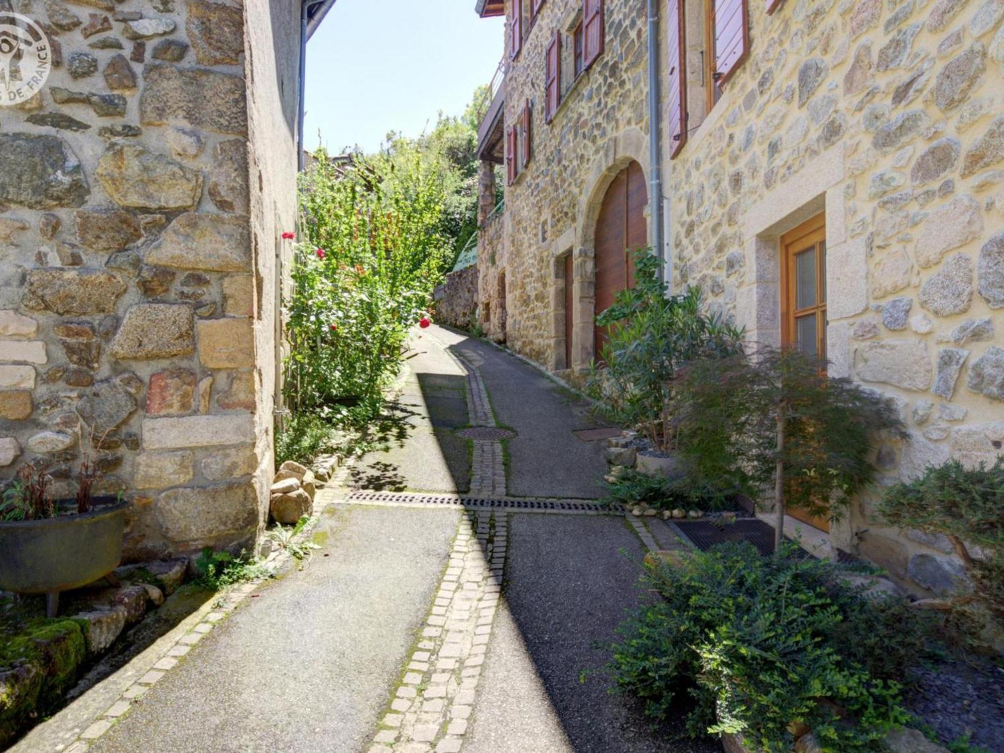 Gite De Charme Avec 2 Terrasses, Au Coeur Du Parc Du Pilat, Confortable Et Equipe - Fr-1-496-40 Malleval Exteriör bild